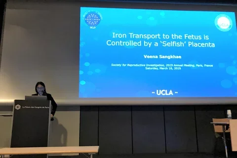 Veena SRI 2019